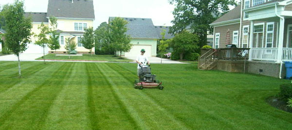 our-mowers-cutting-grass