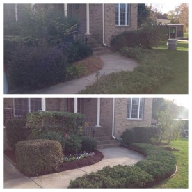 before and after mulch