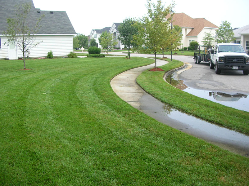 over-watering-chesapeake-lawn